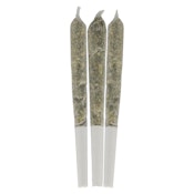 Saturday - Saturday Night Mango Diesel Infused Pre-Roll - 3x0.5g