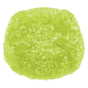 No Future - Key Lime Cherry Revolt - Stupidly Sour THC Gummy - 1 Pack