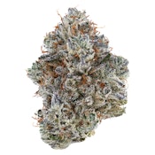Tribal - Neon Sunshine - 3.5g