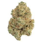 The Loud Plug - Venom OG - 7g