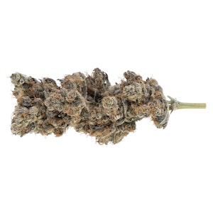 Artiznl - Artiznl - Fawnta - 7g