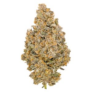 Fuga - Fuga - Balanced Living Soil Organic - 3.5g