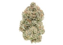 Stinky Pinky 7g Dried Flower