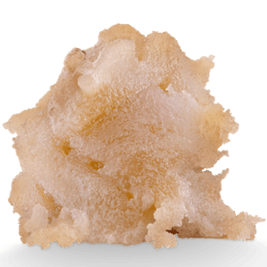 Nugz - Neon Sunshine