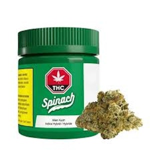 Spinach - OG Kush 7g Dried Flower
