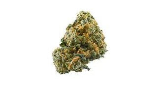 CAPTAIN KUSH