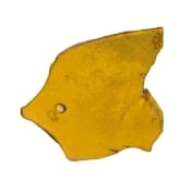 Wiintergreen Shatter 1g
