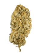 14g