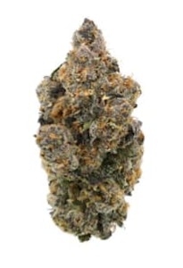 Greenade - TROPICAL SKUNK - 14g