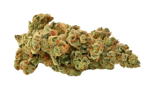 5 Points Cannabis - SACRE BLEU - 3.5g