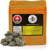 PINEAPPLE FRUZ SMALLS - 3.5