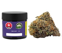 Gas N' Up 3.5G