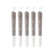 Pineapple Buds | Pineapple Haze Pre-Roll | 5 x 0.5 g