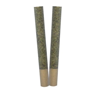 trygg - TRYGG | Ignite Pre-Roll | 2 x 1 g