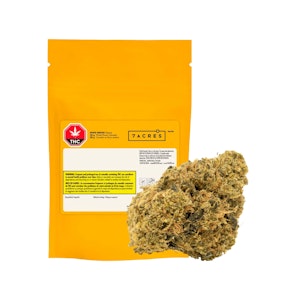 7ACRES - White Widow