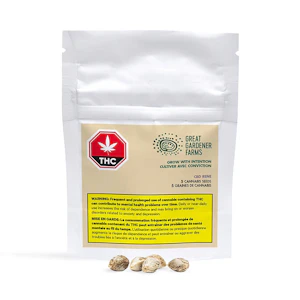 Great Gardener Farms - GREAT GARDENER FARMS - CBD RENE - 5 HYBRID FEMINIZED SEEDS