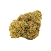 WHITE WIDOW X - 7