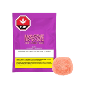No Future - No Future - The Pink One Sativa THC Sour Soft Chew