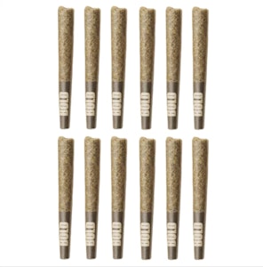 BOLD Growth - Orange Crush (0.5g x 12PR) - BOLD