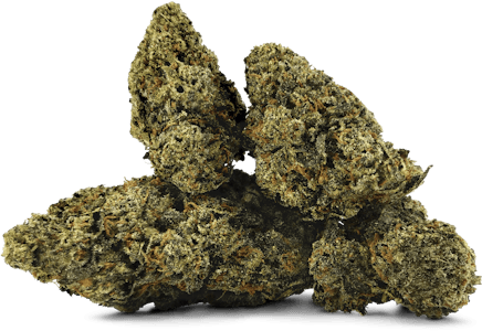 BC 1/4 - BC 1/4 Electric Lotus LTO 7g