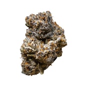 3rd Coast Genetics | Jack Truffle | 14 g