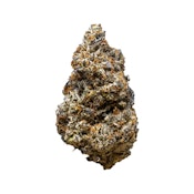 3rd Coast Genetics | Oooze Breath | 28 g