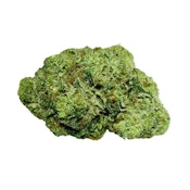Smoker Farms | Master Kush Ultra | 7 g