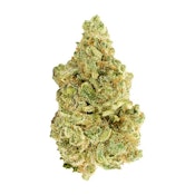 Versus | White Widow | 7 g