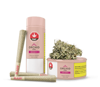 Orchid CBD - CBD Rntz THC CBD Balanced 3.5g Dried Flower