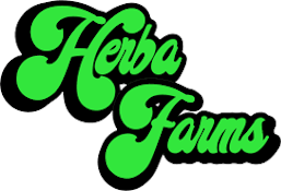 Herba Farms - Trap Taffy (Tooty Fruity) - 1g