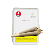 SATIVA 20% PLUS PRE-ROLLS - 3