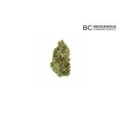 LEMON GELATO - 3.5