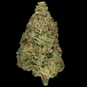 1964 Supply Co. Comatose 3.5g