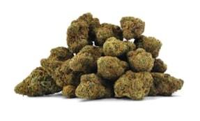 DURBAN TROPEGRANATE - 28