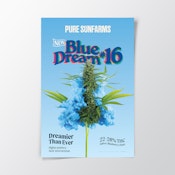 Blue Dream #16 3.5g Dried Flower by Pure Sunfarms