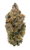 TROPICAL SKUNK - 14