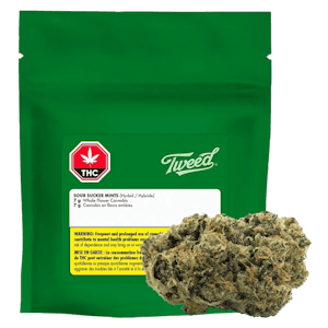 Tweed - Sour Sucker Mints 7g