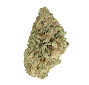 GOOD SUPPLY - JEAN GUY - 7 GRAM
