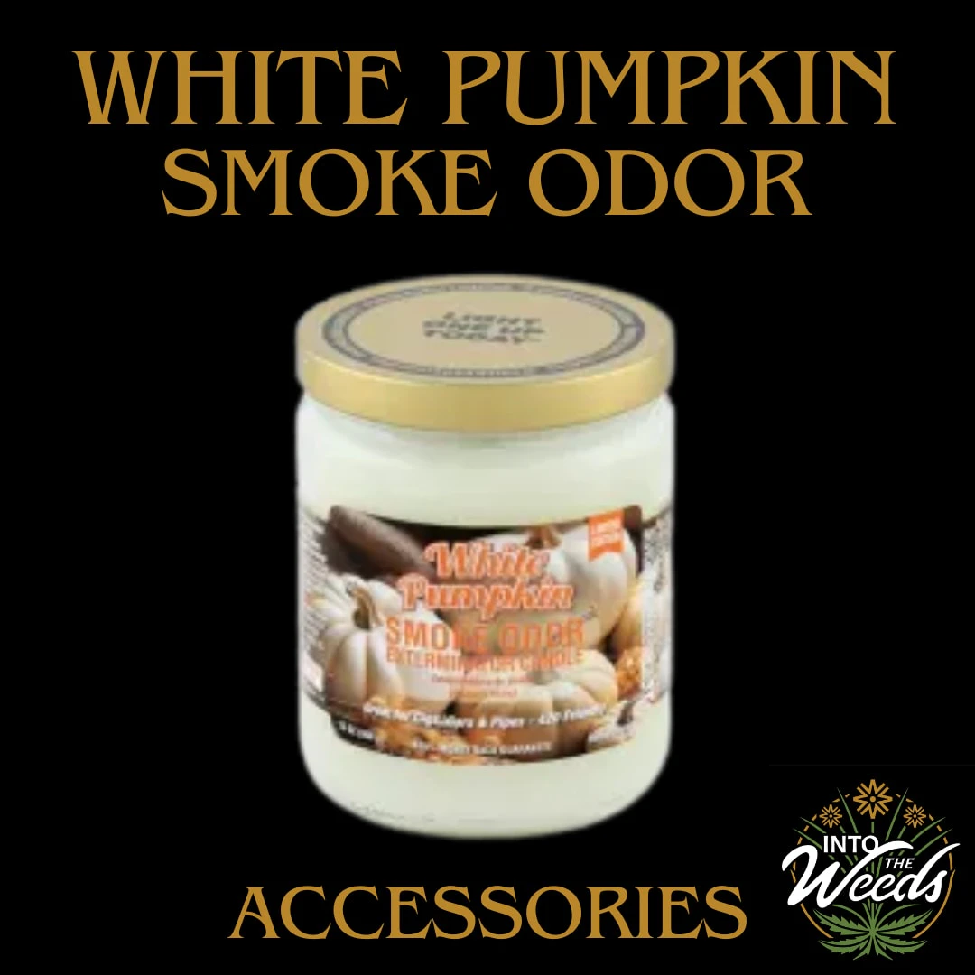 Smoke Odour - White Pumpkin Smoke Odor Extermination Candle Main Image