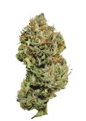 PINE TAR | Saltspring Magic 3.5g Flower | Rest