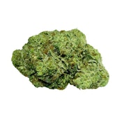 MASTER KUSH ULTRA - 7