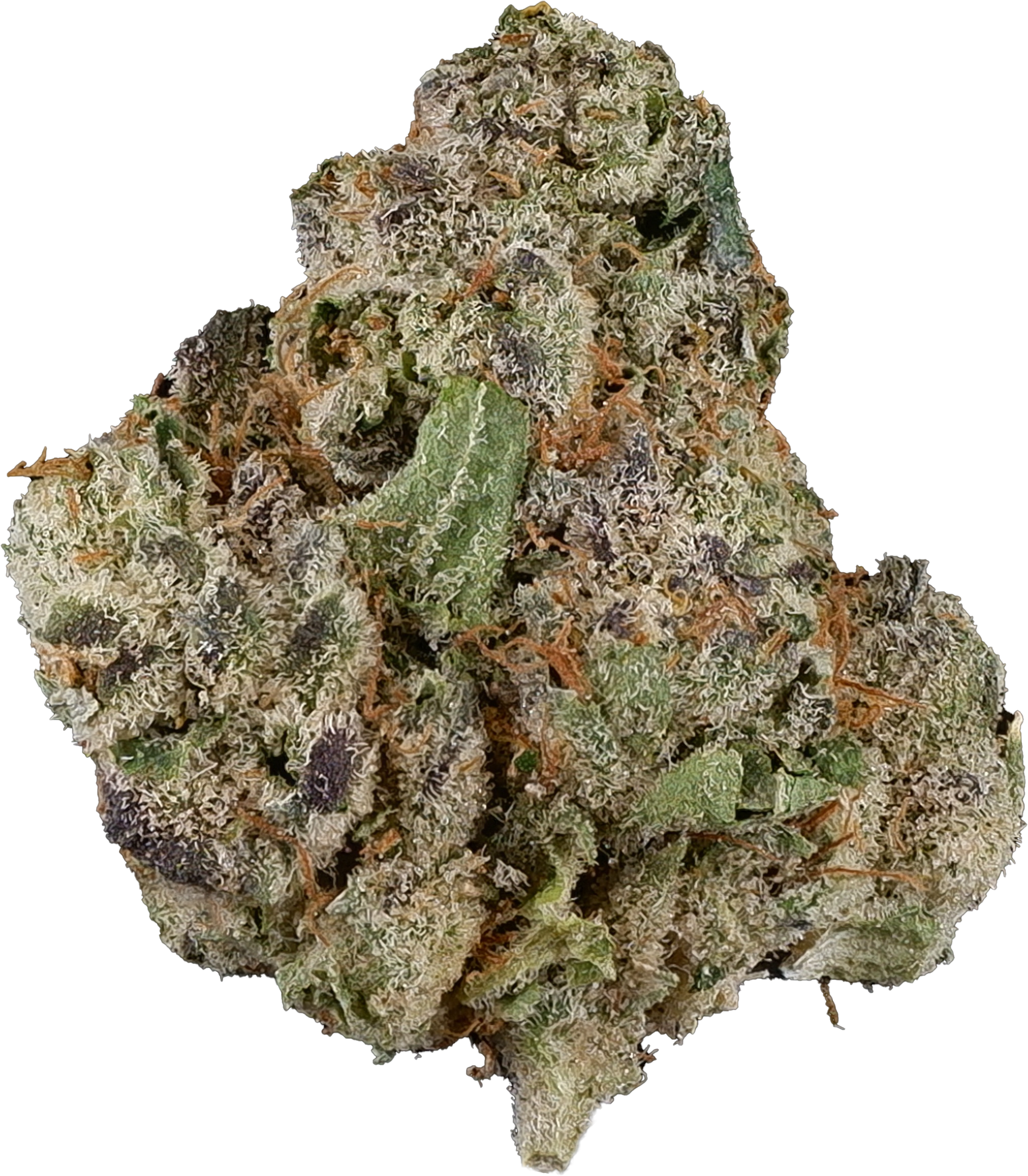 Lot 420 - Gelato 33 | 14g