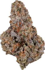 Herba Farms - Herba Farms - Grape Octane | 3.5g