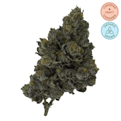 Exotic Matter 7g