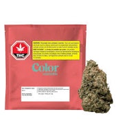 Sour Grapefruit Haze 7g Dried Flower
