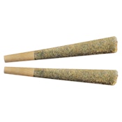 Sunny Daze Pre-Rolls - 2x1g - THC:24.3%