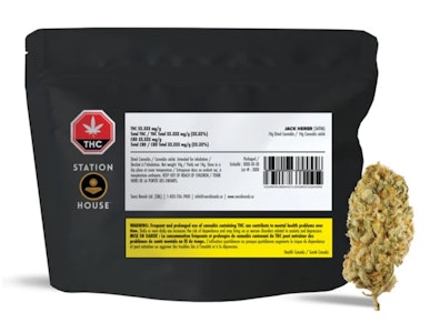 Station House - JACK HERER - 14g