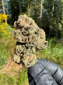ALIEN GORILLA - 28G