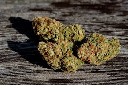SALTSPRING LOVE HAZE - SMALLS - 28G
