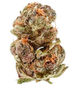 Potluck - Frosted Cherry